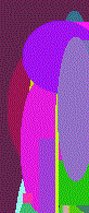 dr web portable